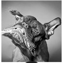 daniel brzezinski - @danbrez - Twitter