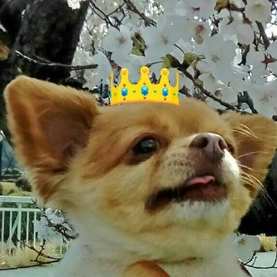 MomOsan1107's profile picture. #nori_study　23年6月からのり弁　学習開始
　上下決めつけず　柔軟にトレードする