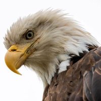 joe (@joebideng5978) 's Twitter Profile