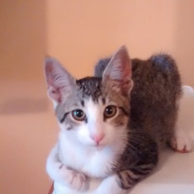 ClaudiaCala15's profile picture. 