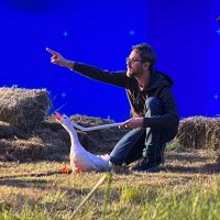 Seba Lopez (@sebalopex) 's Twitter Profile