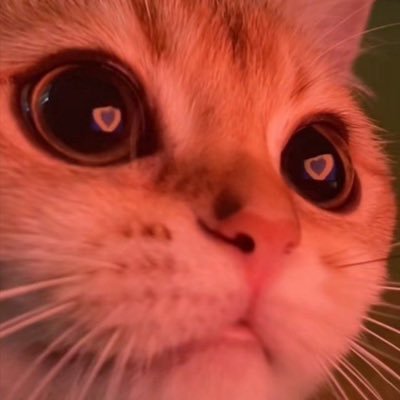 soonyangnyang's profile picture. 긴간히 #DRXWIN