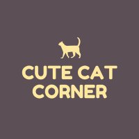 Cute Cat Corner(@CuteCatCorner) 's Twitter Profile Photo