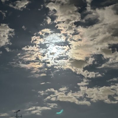 chunensaisei's profile picture. 仕事人生後半、自分自身の再生について考える