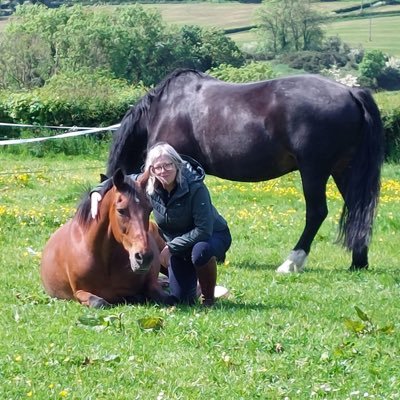 Diploma in Equine Facilitated Learning ACCPH , Ba Hons Working with Young People Certificate in Counselling, Author of children's books