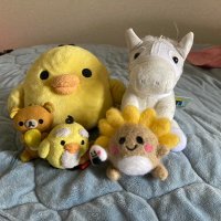 キイロイトキ🌻🐥 (@shiwa48) 's Twitter Profile Photo