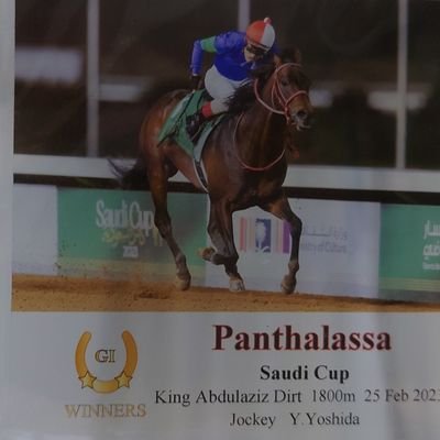 うつりん@黄金の一族を応援します (@scarlet0929sy) / X