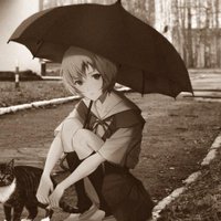 めい🇦🇴@東南アジアに住みたい꒰◍ᐡᐤᐡ◍꒱ (@hojamarion) 's Twitter Profile