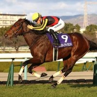 競馬予想アカ🐎ウマ息子🥇 (@me4bm6oepmtdznz) Twitter profile photo