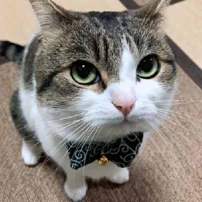 KALDOさんのプロフィール画像