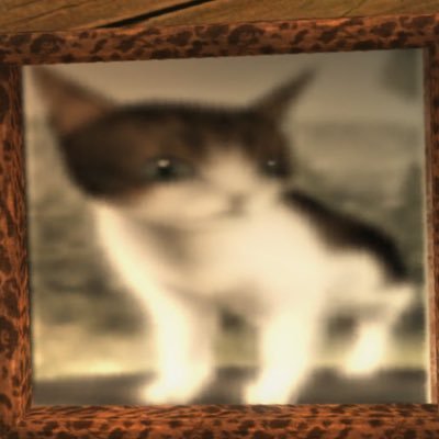 scam likelyさんのプロフィール画像