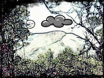 bagusfachri1's profile picture. 