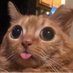 Chris (@captainchrisxxx) Twitter profile photo Chris (@captainchrisxxx) Twitter profile photo