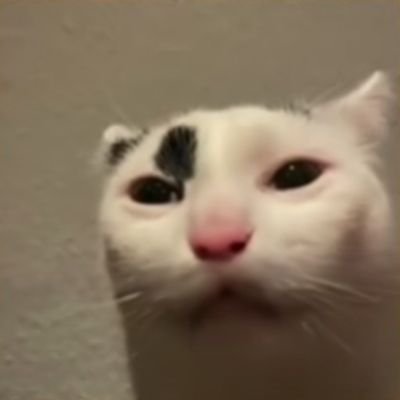 whenwhere80's profile picture. ブリトーだいすきさ