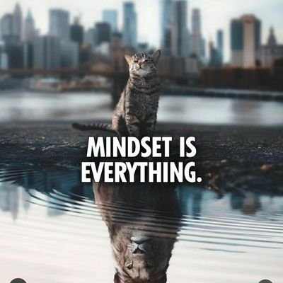 Mindhacker14052's profile picture. 