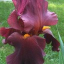 Ellen Geary - @Busymomellie - Twitter