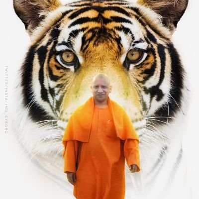 DodmanePuj5546's profile picture. 