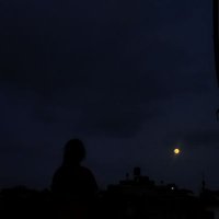 Huda Alwadia (@hudaalwadia) Twitter profile photo