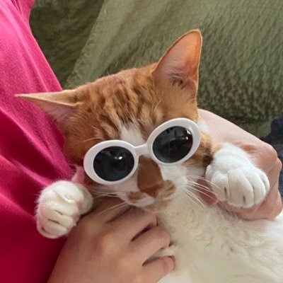 adamars2022R's profile picture. 気まぐれな子供達と同居中