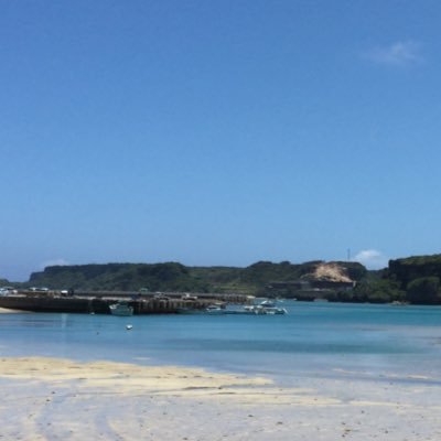 mesokichi2626's profile picture. 