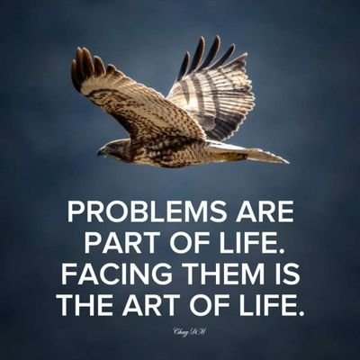 Exclaimused's profile picture. Updating...