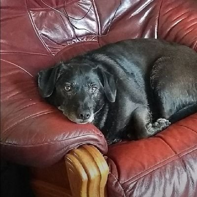 PBailey26521's profile picture. 