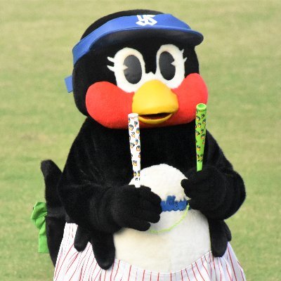 関西のヤクルトファン🐧☂️ ＃19 ＃20 ＃31 #46｜🐮の応援に行くことも（#24 #30 #38）｜高校野球も好きです｜
無言フォロー失礼します。フォローお気軽にどうぞ！