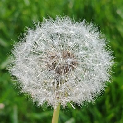 19omer019's profile picture. 