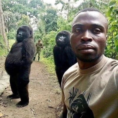 bruh_janek's profile picture. 