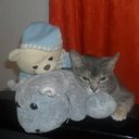 LUISA ANDREA BENAVID - @luisa0sierra - Twitter