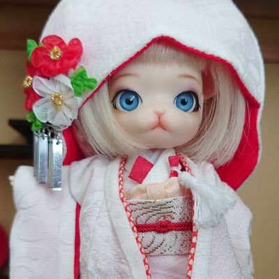 ほしみち👘 (@hoshino_doll) / Posts / X