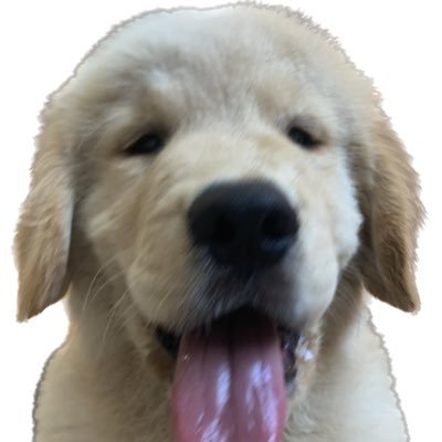 byten77's profile picture.