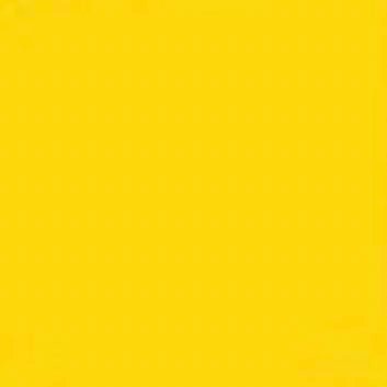 NAVY_pani2_pkrs's profile picture. 長瀬智也♡