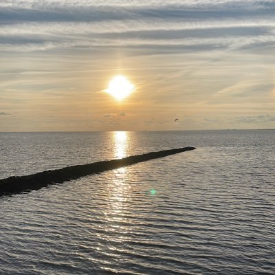 Kuschelbaer_881's profile picture. 🐻😇😈🏳️‍🌈🇩🇪🏳️‍⚧️