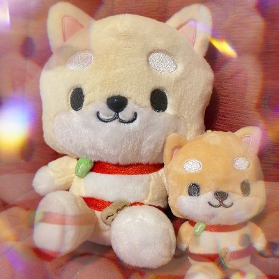 jo1_miyano's profile picture. 🌈⭐️JO1応援垢🇯🇵。娘（社会人）と2人で箱🎁推しJAM。
最近🦊蓮くんに狩られ気味💙(*^^*)50↑。
JOCHUM〜犬犬犬犬犬＆たこ🐙を多頭飼い中。まめちぃ🐶特別扱。リアルも老犬と和やかに生息中♪。
JAMさま無言アレコレ歓迎・こちらも失礼します🙏
お気軽にどうぞ〜❗️ENTJ魚座O型
