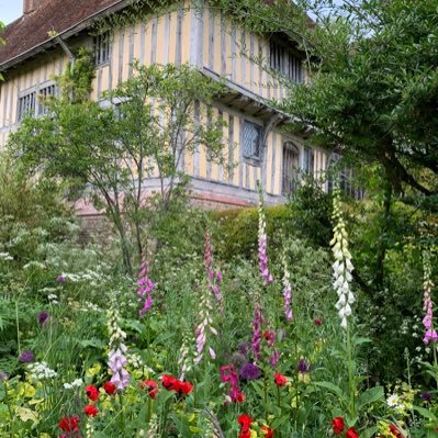 Trustee of Great Dixter and the De La Warr Pavilion. Ex Heritage Lottery Fund and English Heritage. China, gardens, nature and ceramics. NHS 💙