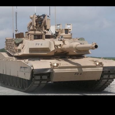 Thrasherkev1313's profile picture. US Army veteran,  19K , Airborne, Air Assault qualified, love my felines,  and my country, 80's metal is still rockin. 😎