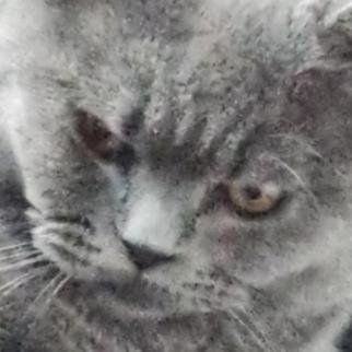 Meergolf109's profile picture. riech dich später