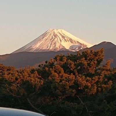 webdezainmanabi's profile picture. 学びたい