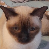 Dr Oliver Claire Watkins (@olivercwatkins) 's Twitter Profile Photo Dr Oliver Claire Watkins (@olivercwatkins) 's Twitter Profile Photo
