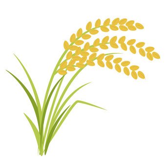 iineineno03k's profile picture. Java, Spring Boot, React, CI/CD
Qiita→https://t.co/Ve29k77nyI