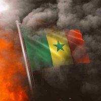 FADAL (@fthiam17) 's Twitter Profile