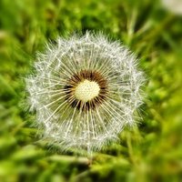 🇩🇪🇩🇪🇨🇿🇷🇺 (@neubusch) 's Twitter Profile