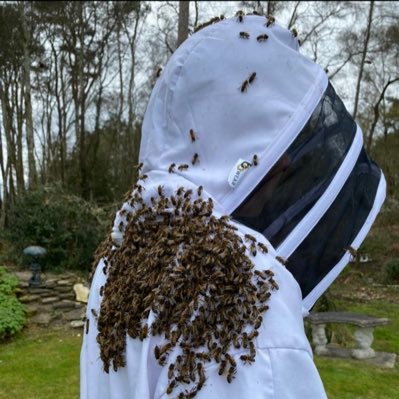 Sustainable beekeeping business
