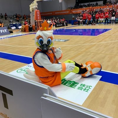 poy310's profile picture. 社会人、アルビ