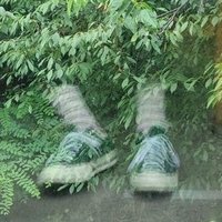 스웨터 침엽수림(@cececeDungeon) 's Twitter Profile Photo