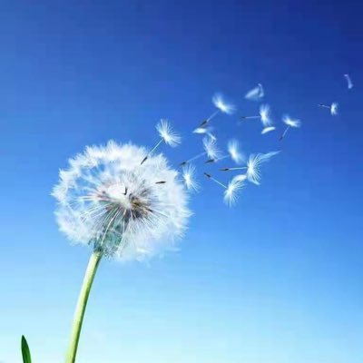 aiyaya2626's profile picture. 