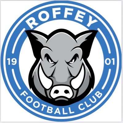Roffey Football Club (C) 🏆