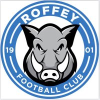 Roffey Football Club (C) 🏆(@RoffeyFC) 's Twitter Profileg