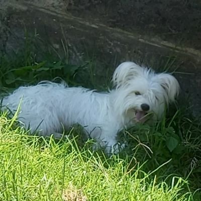 Alphapark23's profile picture. 